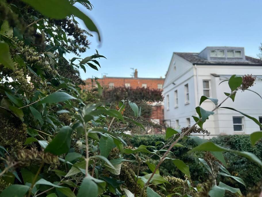 Vernon Place Town Centre, Vernon Cottage 3-Bed With Parking, 1A Vernon Court 2-Bed With Parking, 1B Studio No Parking, Off The High Street Next To Sandford Park Cheltenham Exteriör bild